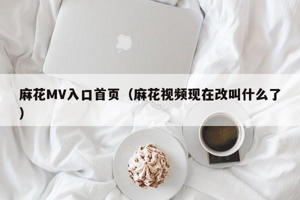 麻花MV入口首页(麻花视频现在改叫什么了)