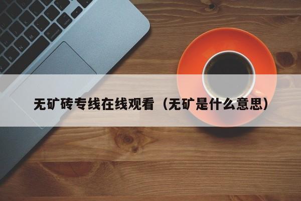 无矿砖专线在线观看(无矿是什么意思)