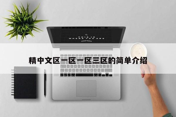 精中文区一区一区三区的简单介绍