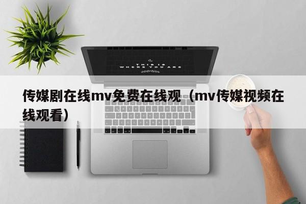 传媒剧在线mv免费在线观(mv传媒视频在线观看)