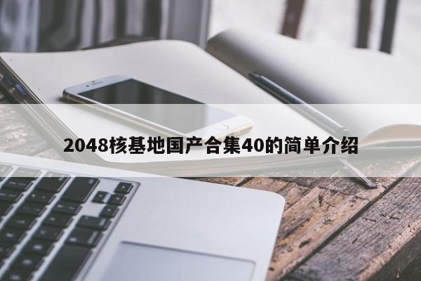 2048核基地国产合集40的简单介绍