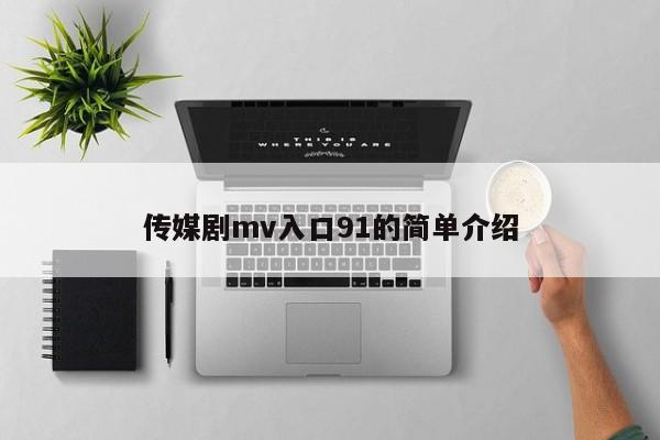 传媒剧mv入口91的简单介绍